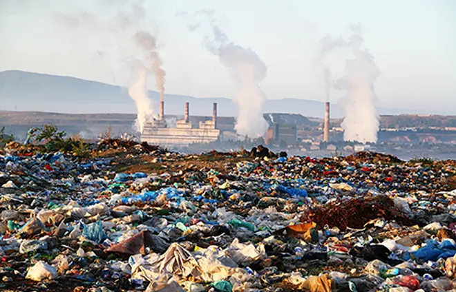 Recyclable Coffee Bags