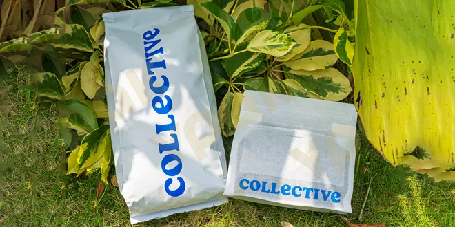 Custom Packaging Design Solutions