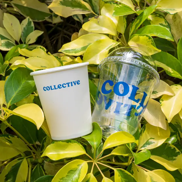 Clear PET ice cup with custom printing displayed in outdoor garden environment