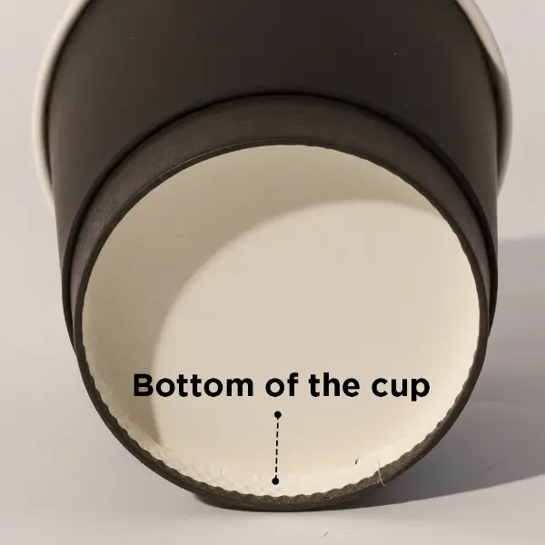 Soft touch paper cup bottom structure showing secure and leak-resistant base